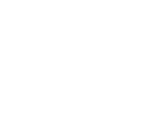 Piwi
