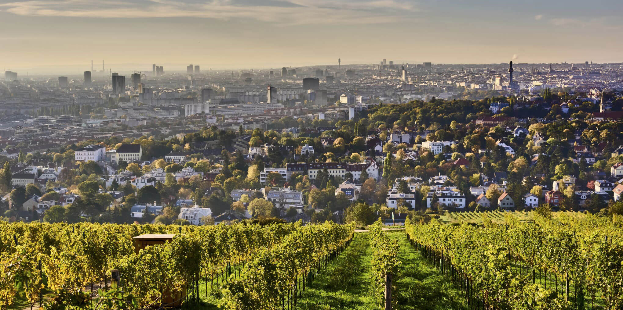Ausblick vom Nußberg auf Wien