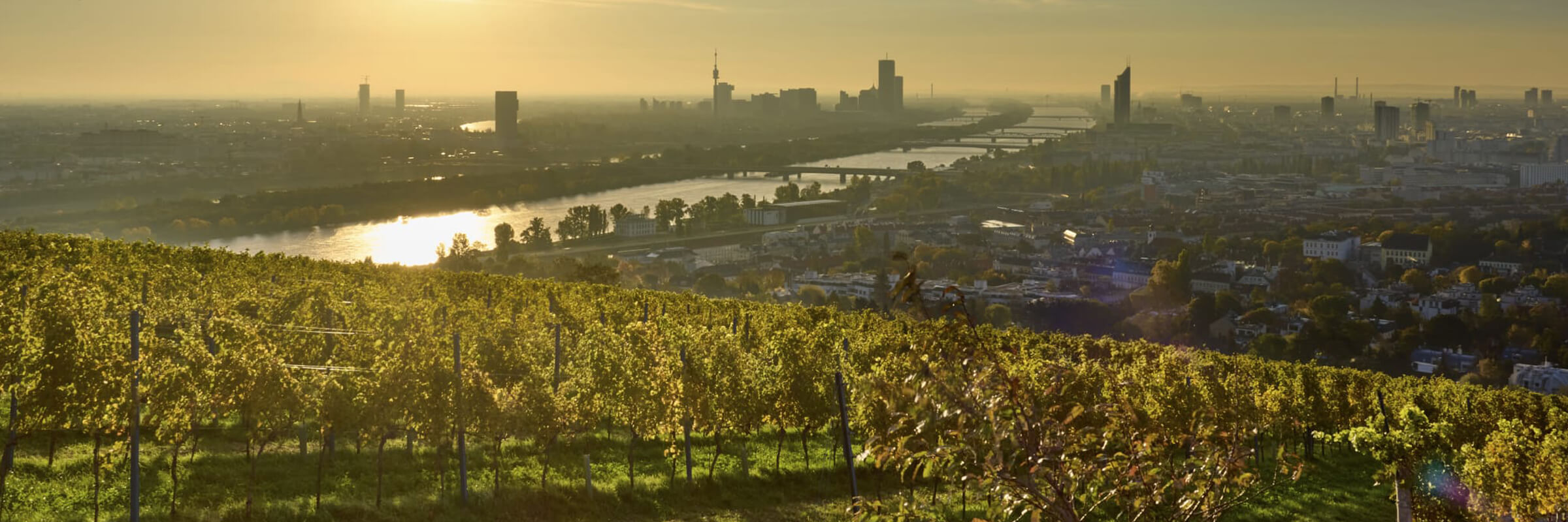 Blick vom Nußberg auf die Donau in der Abendsonne