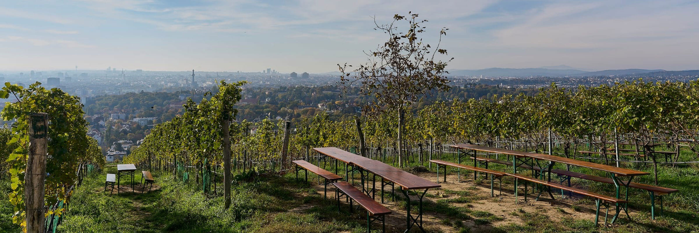 Buschenschank im Weingarten